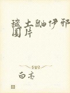 秽土鼬伊邪那美图片