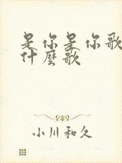 是你是你歌词是什么歌