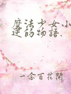 魔法少女小圆叛逆的物语.