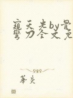 窥天光by骨色弯刀全文免费阅读笔趣阁