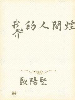 我的人间烟火简介