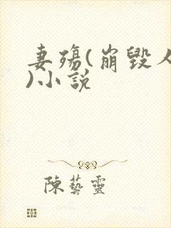 妻殇(崩毁人生)小说