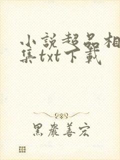 小说超品相师全集txt下载