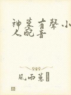 神墓有声小说多人配音