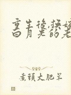 重生后,换嫁给白月光的老婆后悔疯了