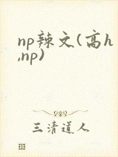 np辣文(高h,np)