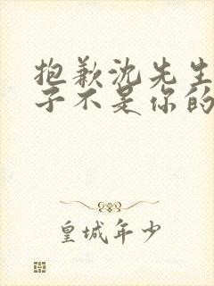 抱歉沈先生,孩子不是你的短剧全集大结局