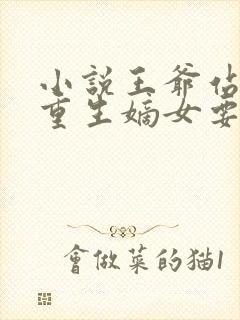 小说王爷站住 重生嫡女要强嫁