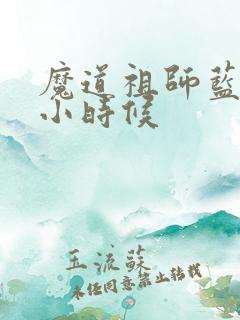 魔道祖师蓝忘机小时候