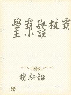 学霸与校霸双男主小说