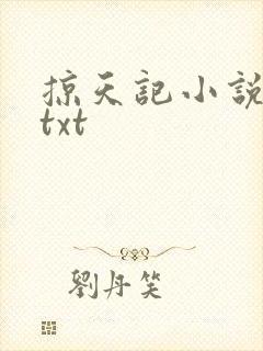 掠天记小说下载txt
