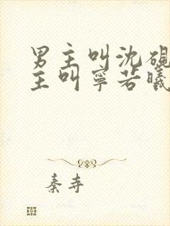 男主叫沈砚舟女主叫宁若曦的小说