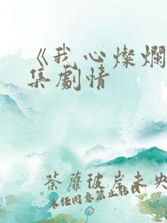 《我心灿烂》分集剧情