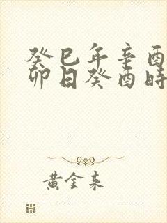 癸巳年辛酉月己卯日癸酉时男命