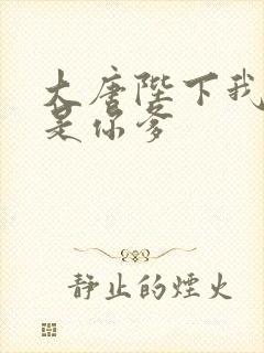 大唐陛下我真不是你爹