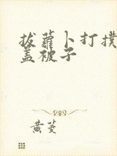 拔萝卜打扑克不盖被子