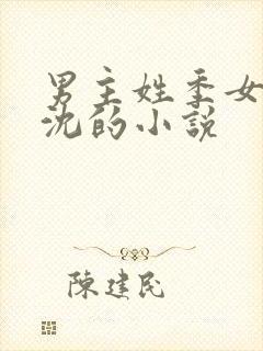 男主姓季女主姓沈的小说