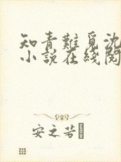 知青难觅沈清涵小说在线阅读免费