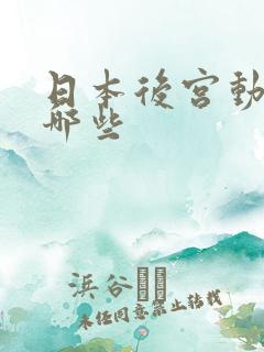 日本后宫动漫有哪些