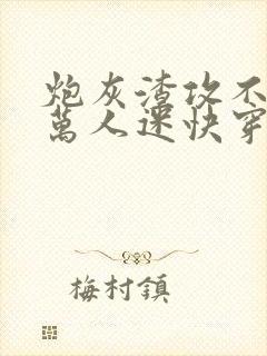 炮灰渣攻不想做万人迷快穿晴昼txt