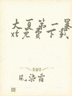 大夏第一暴君txt免费下载