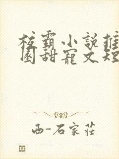 校霸小说推荐校园甜宠文短篇