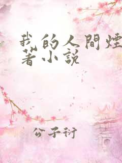 我的人间烟火原著小说