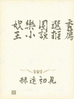 娱乐圈选秀双男主小说推荐