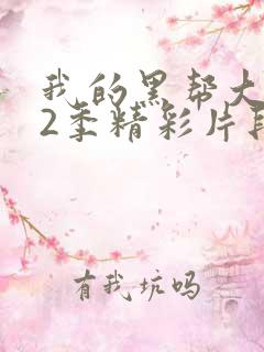 我的黑帮大佬第2季精彩片段