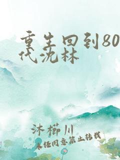 重生回到80年代沈林