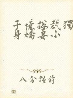 千亿总裁独宠替身娇妻小