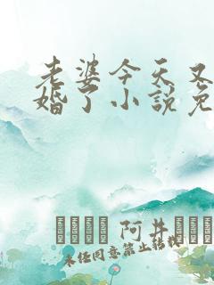 老婆今天又想离婚了小说免费阅读