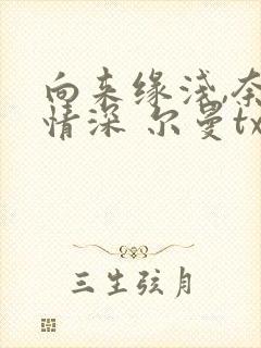 向来缘浅,奈何情深 尔曼txt下载