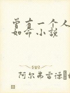 曾有一个人爱我如命小说