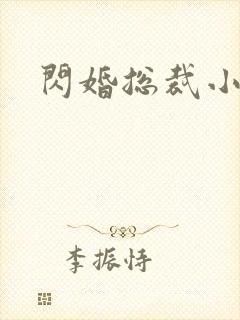 闪婚总裁小娇妻