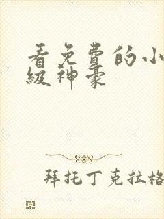 看免费的小说超级神豪