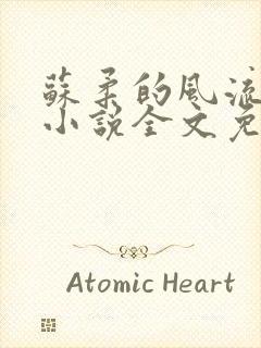 苏柔的风流人生小说全文免费