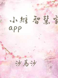 小维 智慧家庭app