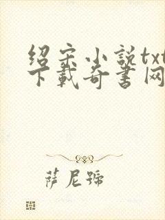 绍宋小说txt下载奇书网