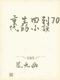 重生回到70年代的小说