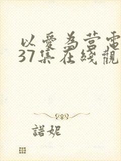 以爱为营电视剧37集在线观看