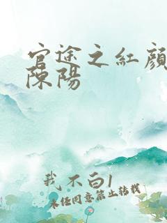 官途之红颜多娇陈阳