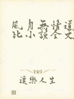 风月无情道比卡比小说全文免费阅读笔趣阁