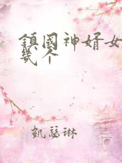 镇国神婿女主有几个