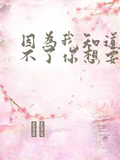 因为我知道我给不了你想要的东西歌词