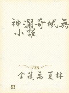 神澜奇域无双珠 小说