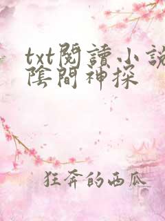 txt阅读小说阴间神探