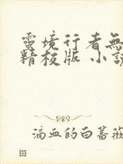 灵境行者无错字精校版 小说