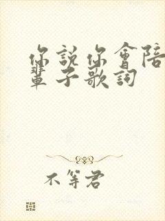 你说你会陪我一辈子歌词