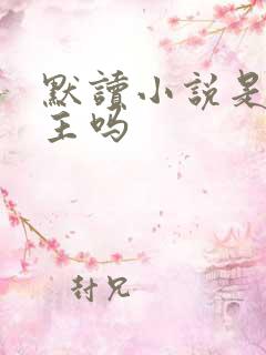 默读小说是双男主吗